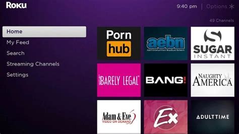 roku tv porn apps|Roku Porn: The Best Roku Porn Channels and Apps